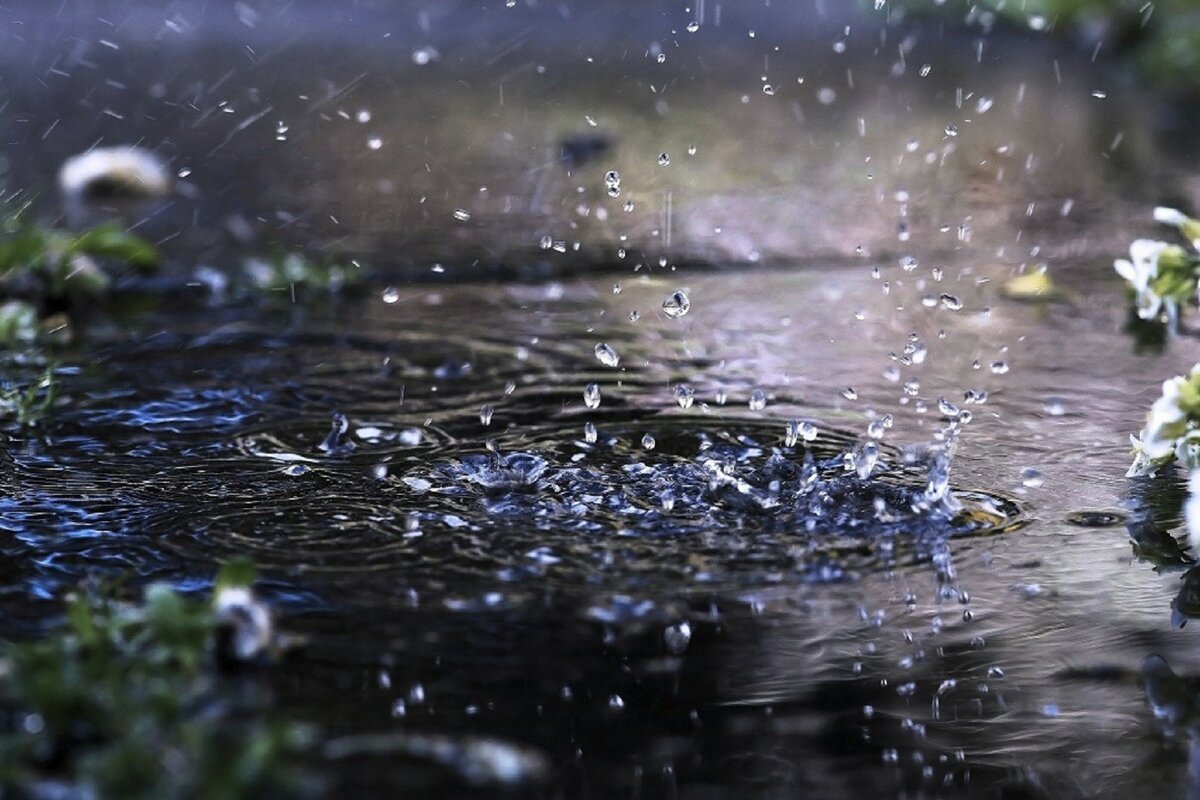 Фото во время дождя