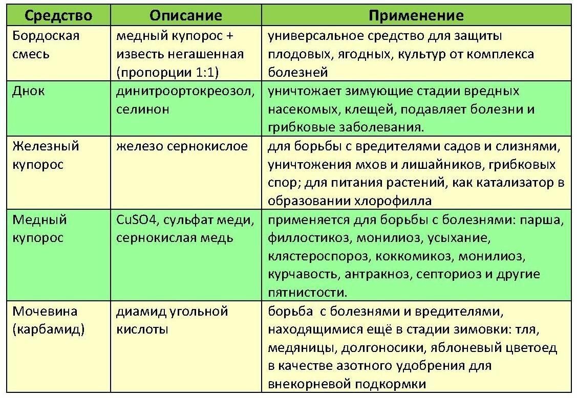 Схема обработки сада от болезней и вредителей