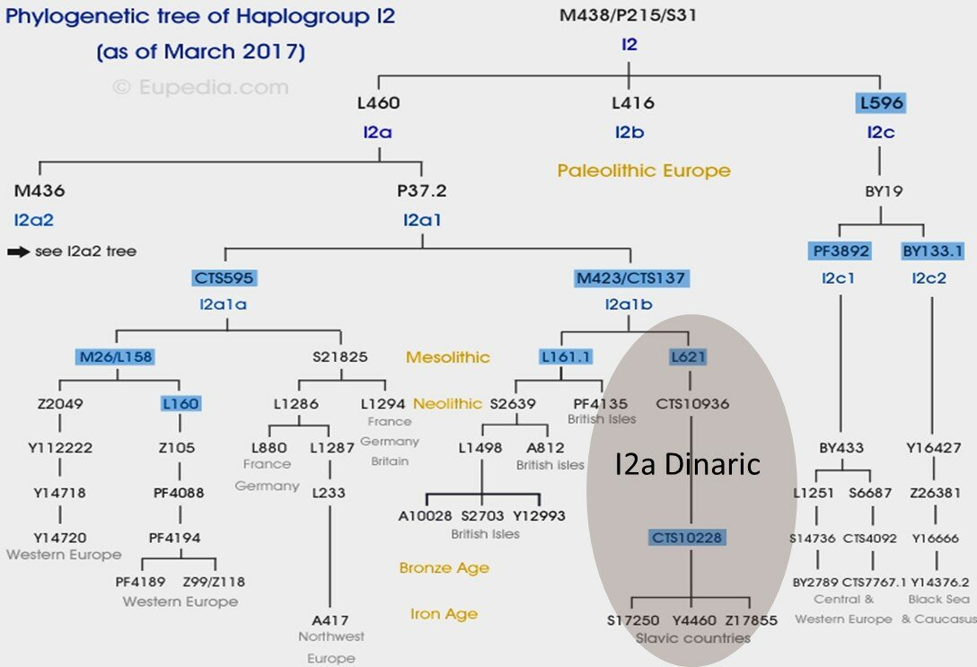 I2 гаплогруппа карта