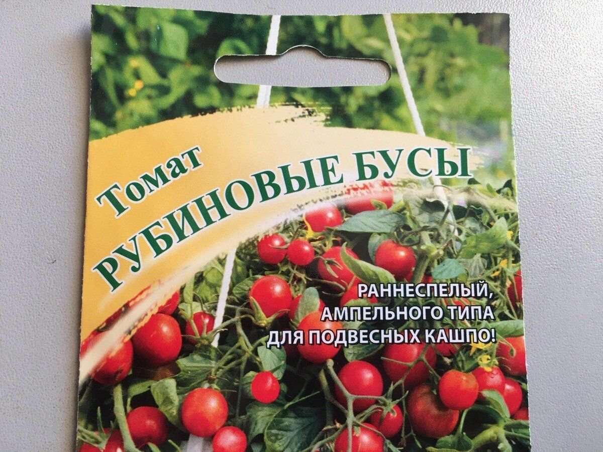 Бусы томата. Рубиновые бусы томат. Томат коралловые бусы. Томат красные бусы.