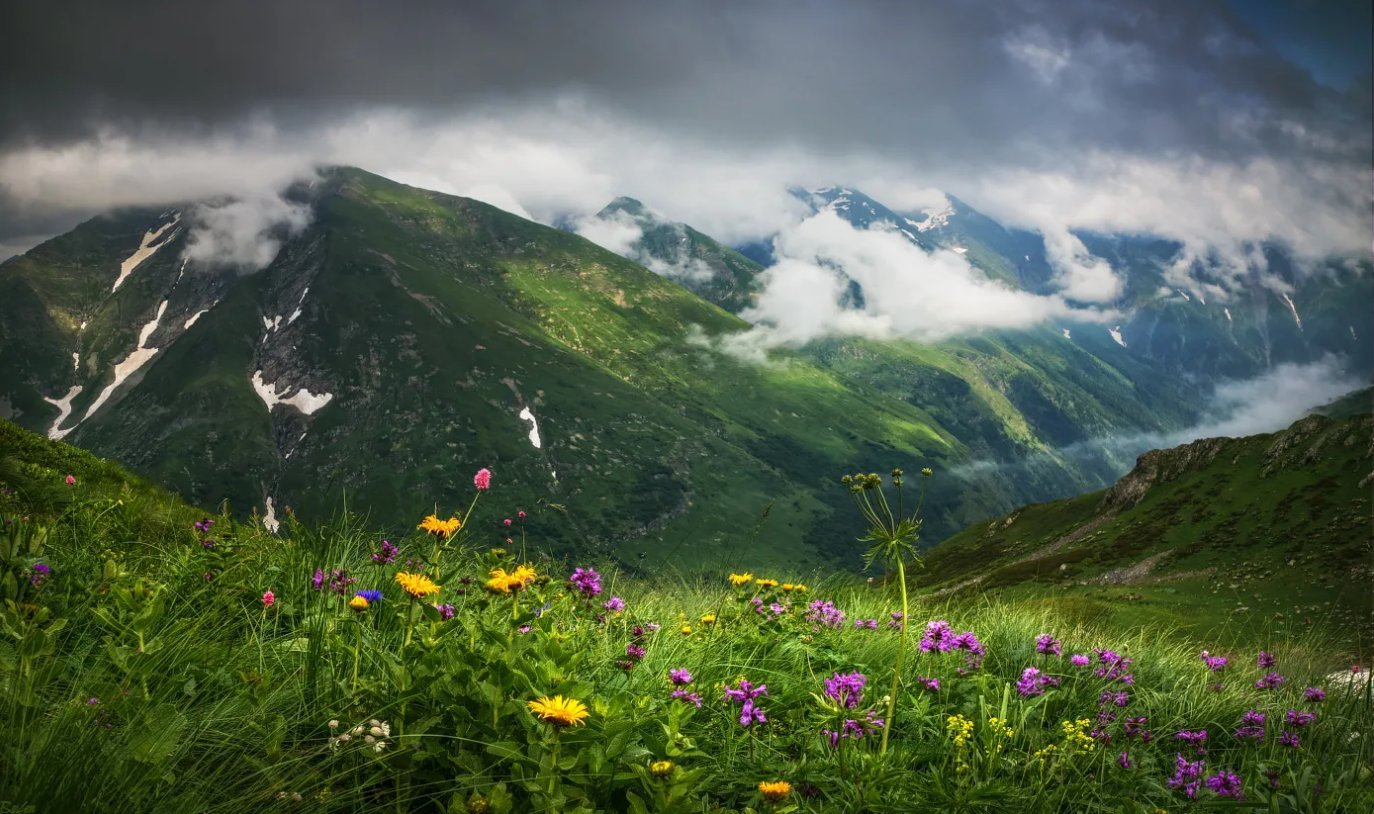 Природа Северного Кавказа Альпийские Луга
