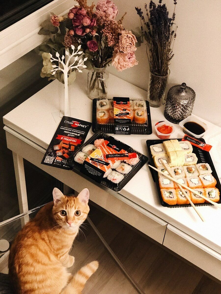 Roll cats. Кот и роллы. Котик суши. Кошка и суши. Кот ест суши.