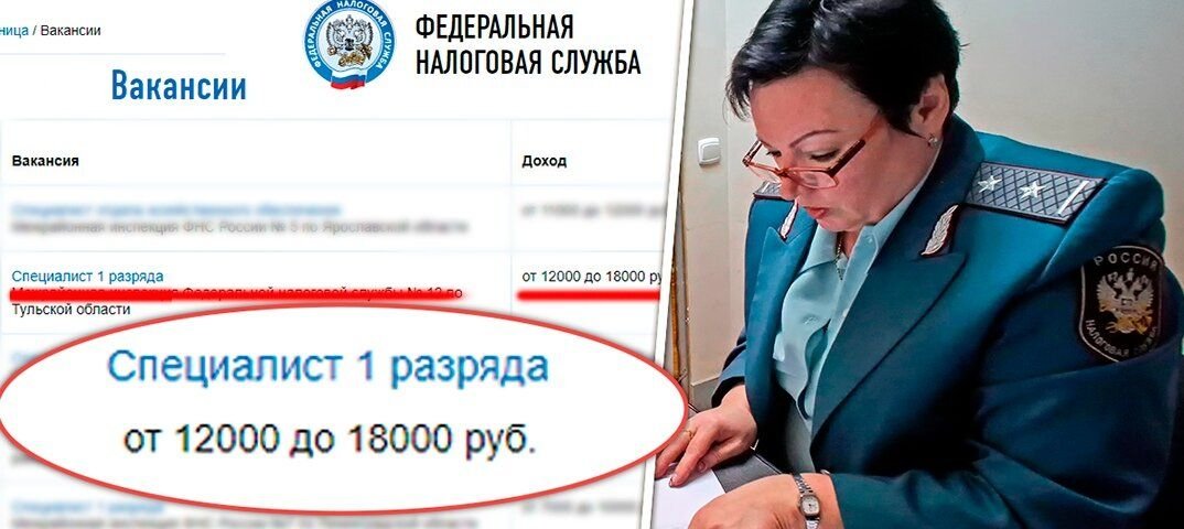 Специалист 1 разряда в налоговой. Заработная плата. Зарплата в налоговой инспекции в 2023. Средняя зарплата региональных директоров. Федеральная налоговая служба зарплата.