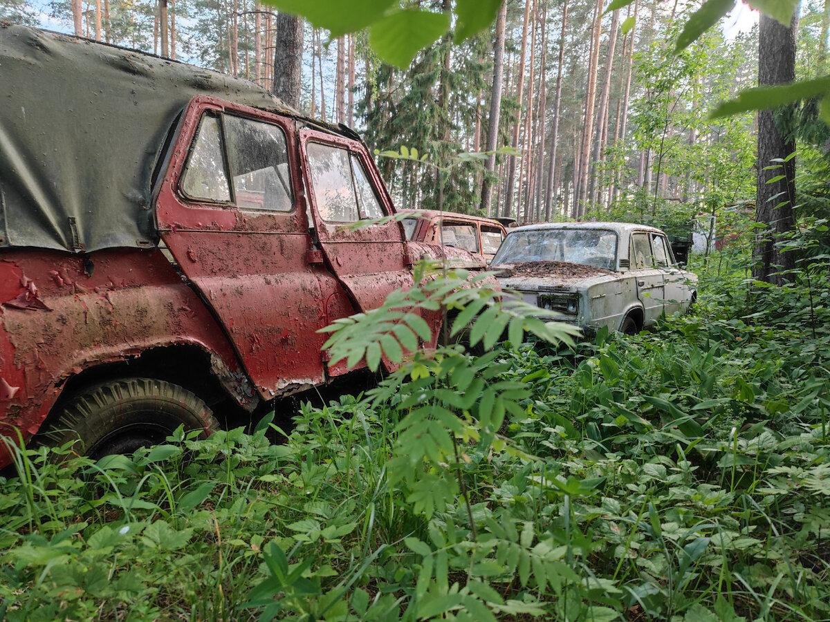 Кладбище автомобилей в Подмосковье