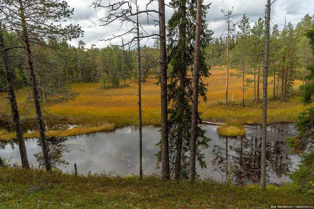 заповедник костомукша. озеро каменное карелия костомукшский заповедник. костомукшский государственный заповедник. костомукшский природный заповедник. заповедник костомукша.