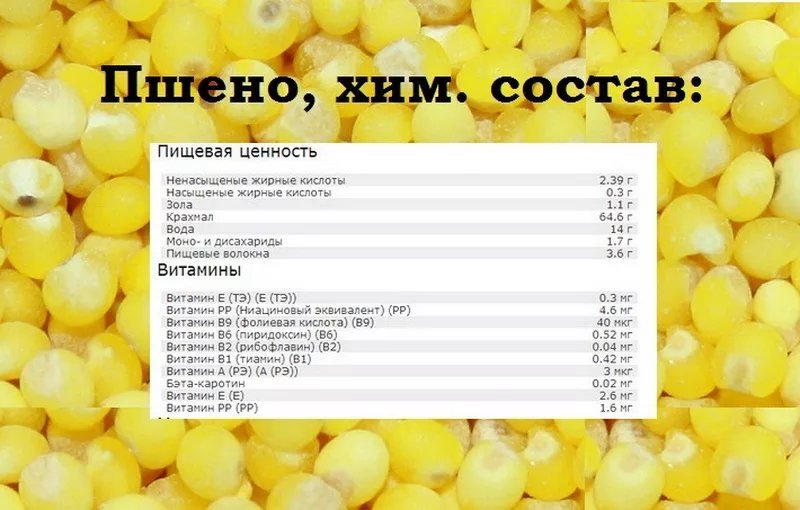 Каша пшенка пищевая ценность