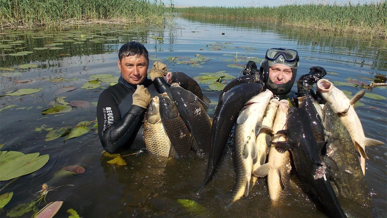 Два рыбака поймали 36. Подводная охота Астрахань 2020. Подводная охота трофеи. Подводная рыбалка на Волге. Подводная охота на Волге.