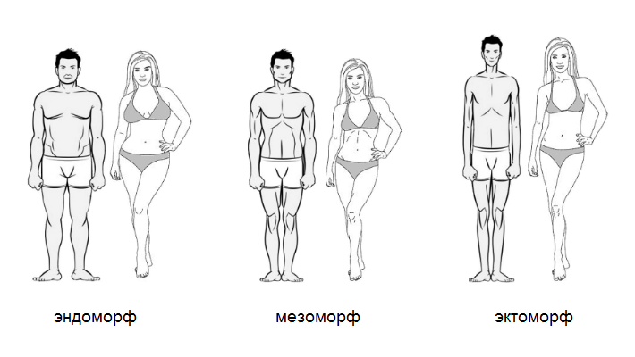 Эндоморф женщина. Типы фигур эндоморф мезоморф. Эктоморф мезоморф и эндоморф женщины. Тип тела эктоморф мезоморф эндоморф девушка. Смешанный Тип телосложения эктоморф-эндоморф.