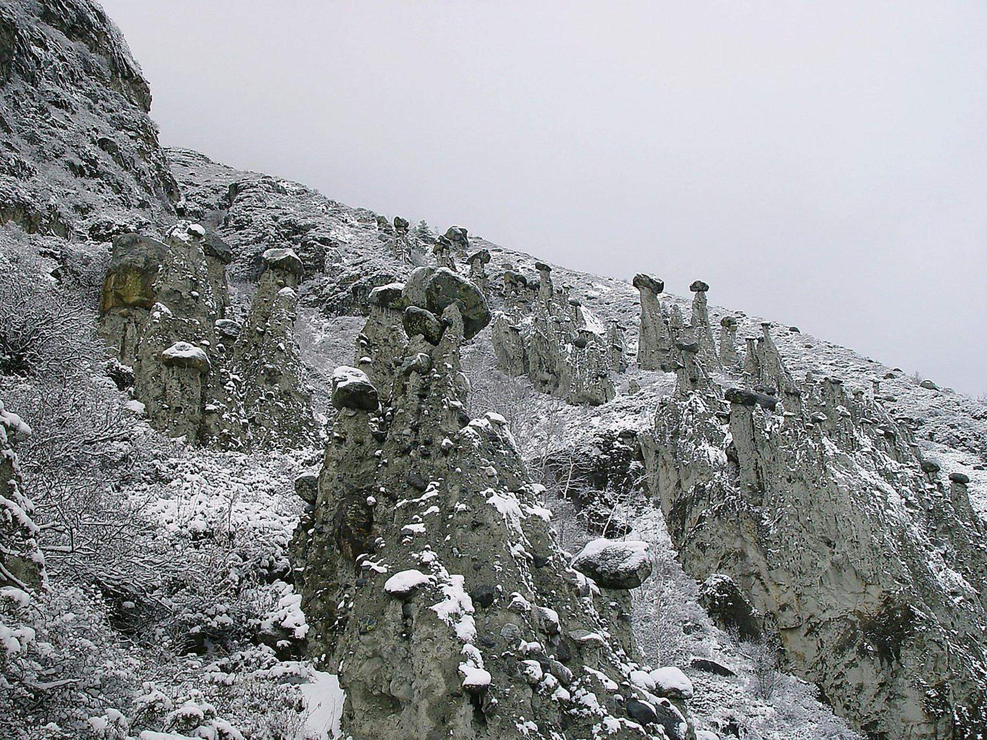 Каменные грибы алтай фото