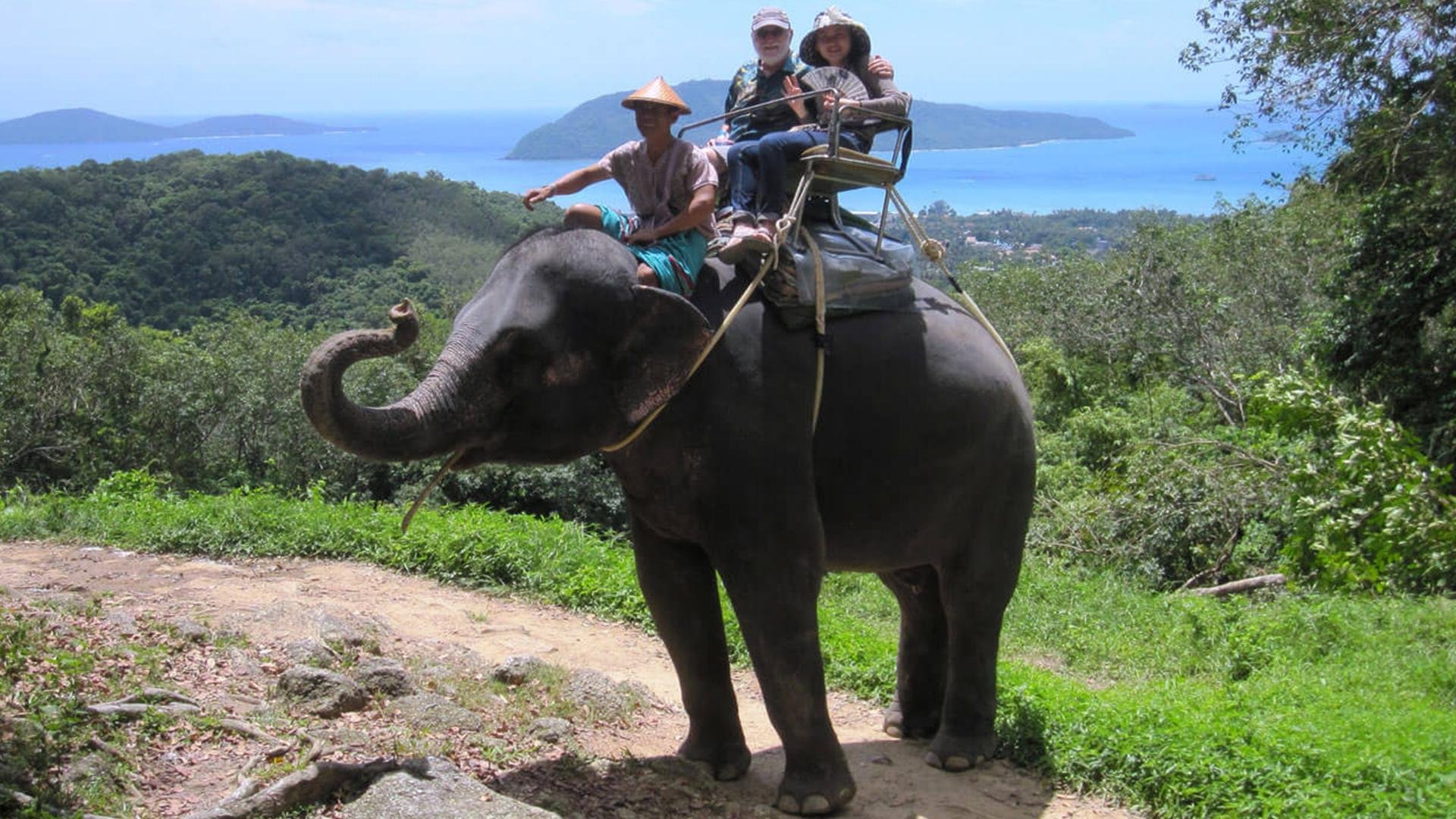 Elephant sanctuary park. Тайланд Пхукет экскурсии на слонах. Таиланд Пхукет слоны. Катание слоны на Пхукете. Тайланд Пхукет слон.