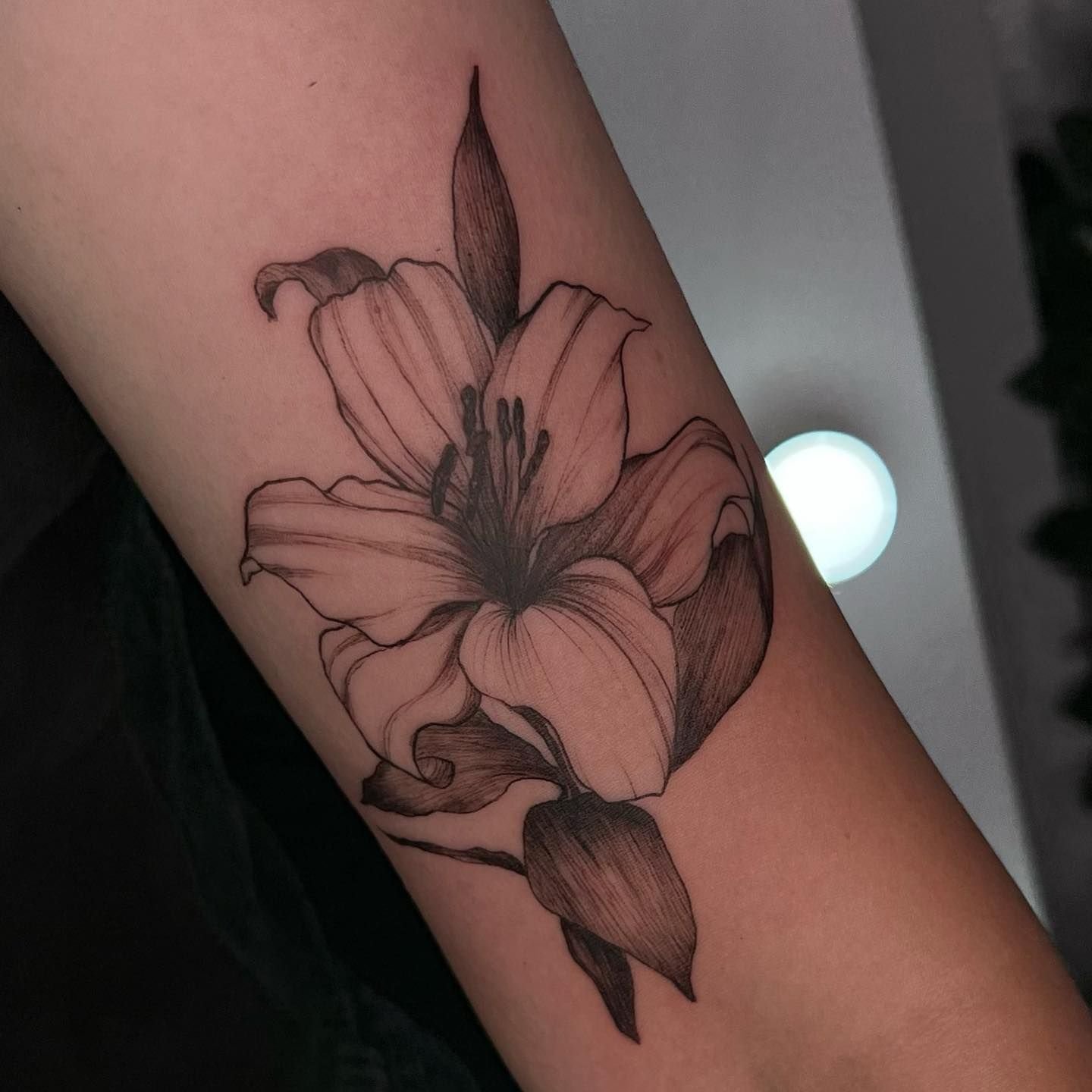 Что значат лилии тату. Тату лилия на ноге. Что означает тату лилии. Что значат лилии тату. Тату лилии на руке.