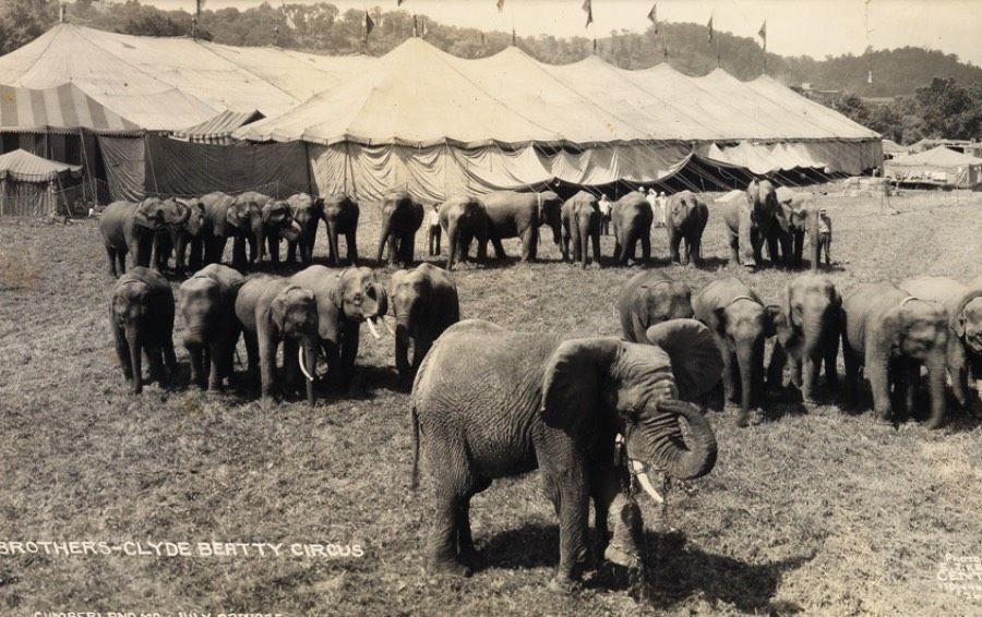 Centuries ago people didn t have much. Вагоны с цирковыми слонами в Америке 19 века. Hagenbeck Wallace Circus Tragedy.