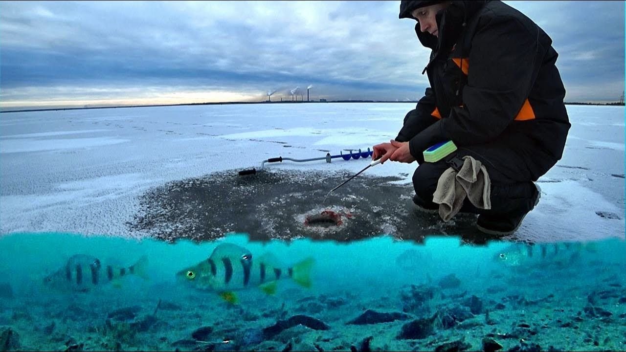 Зимняя рыбалка видео. Рыбалка подо льдом. Рыбалка зимой подо льдом. Зимняя рыбалка 2020 года. Рыба подо льдом большая.