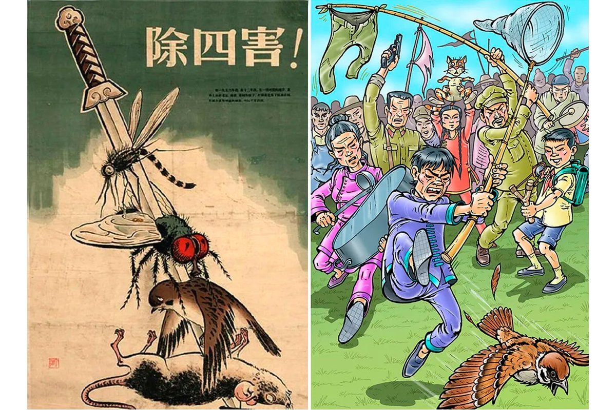 дети гоняют птиц. китай истребление воробьев 1958. кампания по уничтожению воробьев в китае. уничтожение воробьёв в китае. гулька птица.