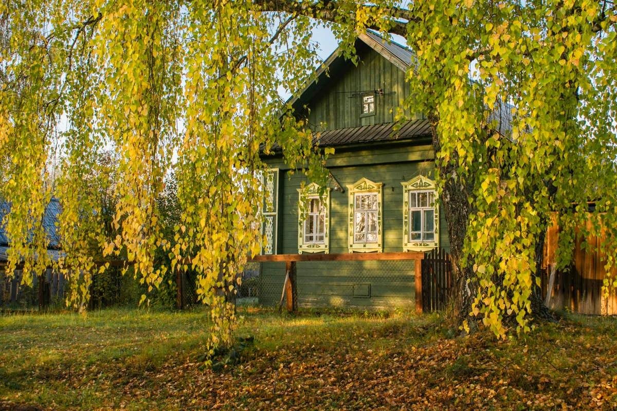 Дом стоял среди. Русская деревня березы. Деревенский домик. Осень в деревне. Деревенский дом с березой.