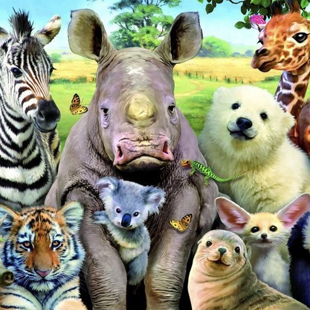 Сказки о животных книга. Несколько животных на картинке. Такие же как звери. Несколько животных. Название хищных животных.