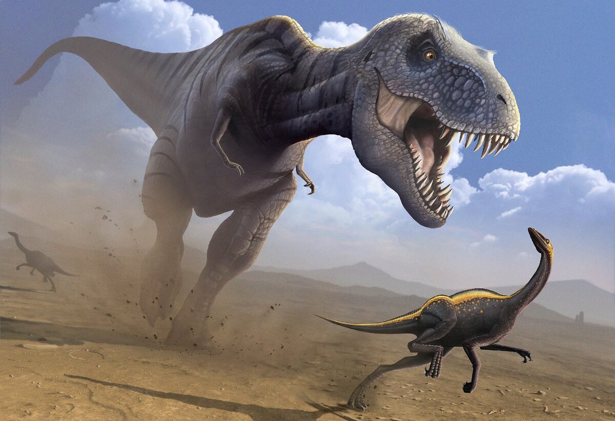 Тираннозавр Рекс: Три новых факта уничтожили репутацию самого грозного дино...