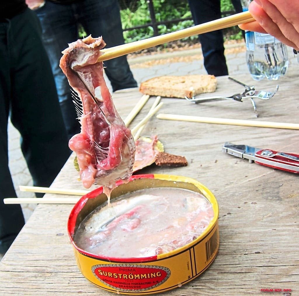 Консервы сюрстремминг. Норвежская селедка сюрстремминг. Тухлая рыба название. Норвежская рыба сюрстрёмминг. Швеция деликатес сюрстрёмминг.