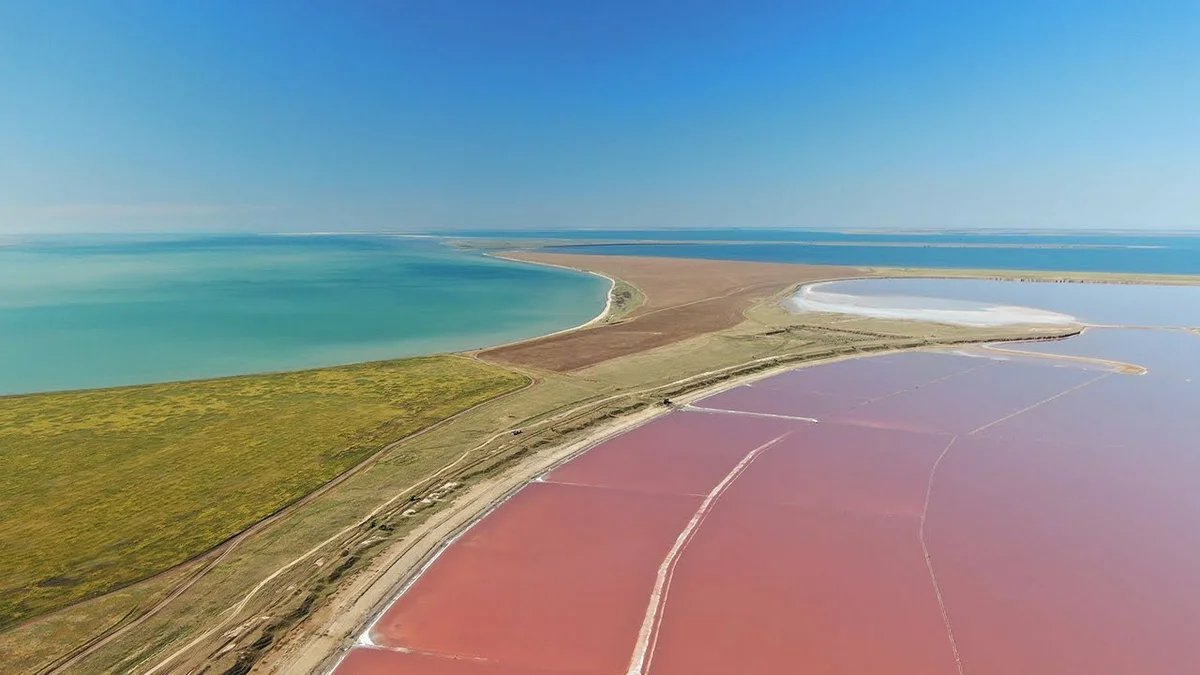 Херсонская область розовое. Арабатская стрелка Азовское море. Арабатская коса Сиваш. Геническ коса Арабатская стрелка. Сиваш Арабатская стрелка.