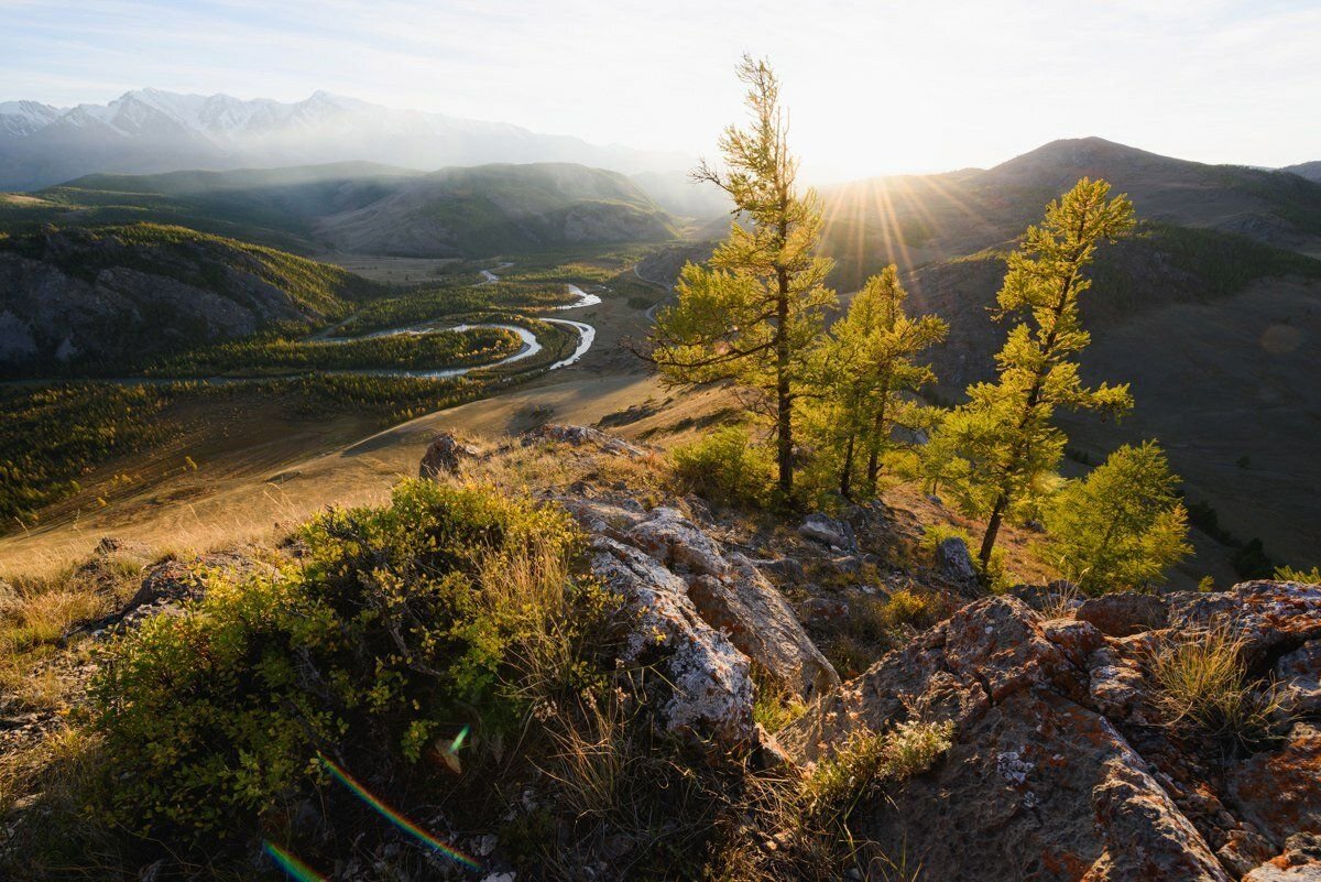 золотые горы алтая юнеско. алтай золотые горы в евразии. золотые горы алтая юнеско. природное наследие золотые горы алтая. золотые горы алтая юнеско.