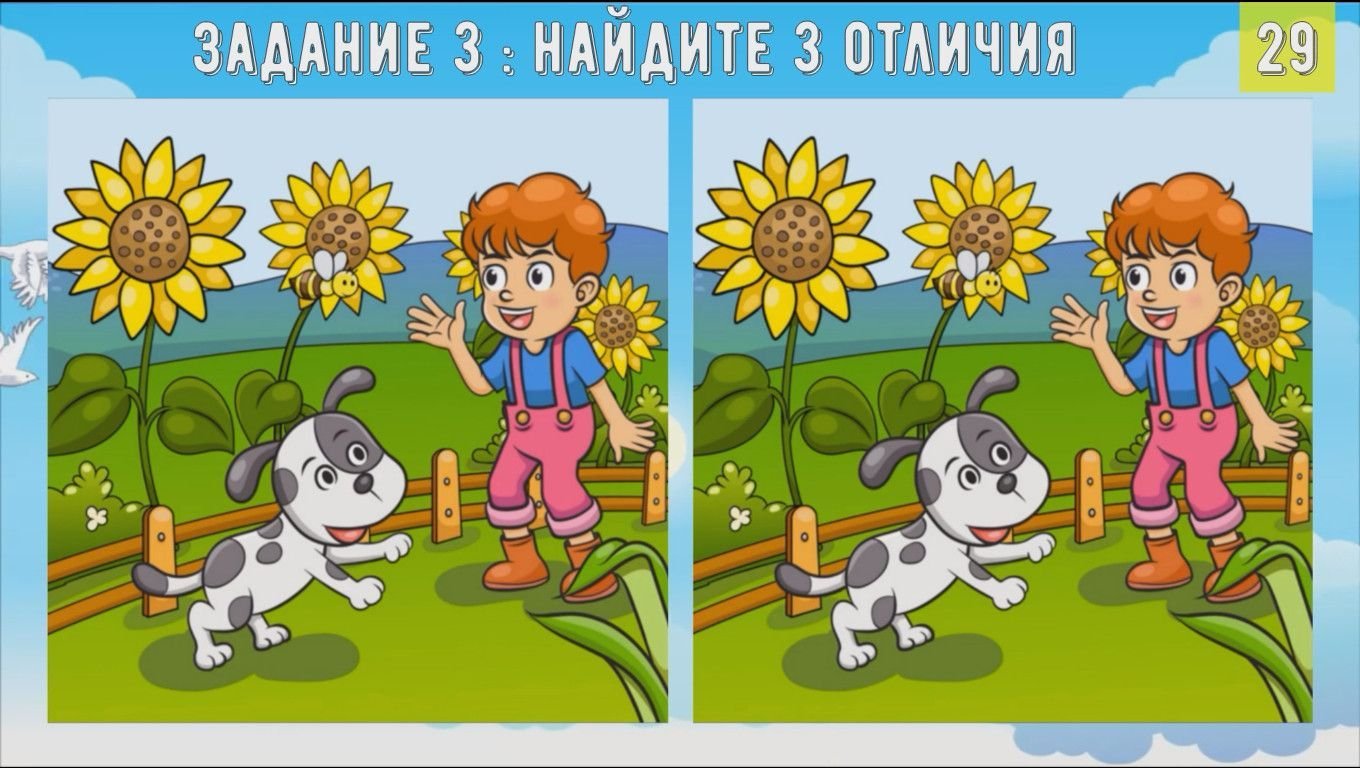 Отличия 3 класс