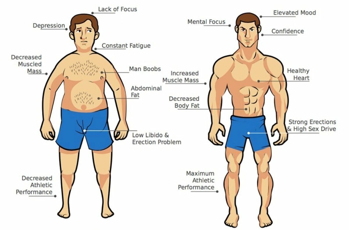Влияет ли размер. Показатели высокого тестостерона. Низкий уровень тестостерона у мужчин. Экзогенный тестостерон. Низкий тестостерон у мужа.