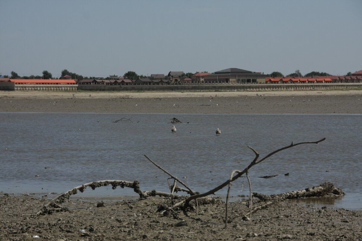 Краснодарское море водохранилище. Водохранилище Краснодар обмелело. Обмелевшее Краснодарское водохранилище. Обмеление Краснодарского водохранилища. Краснодарское водохранилище высохло.