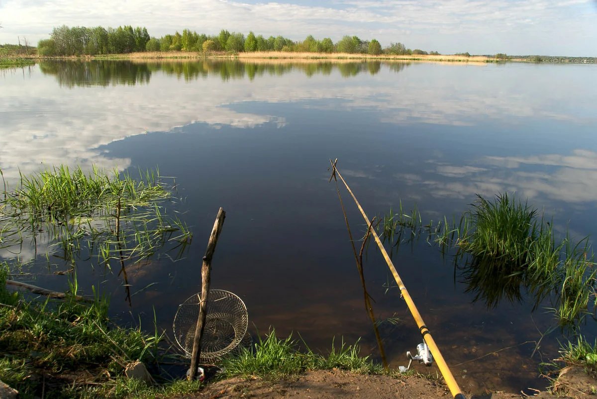 Фото на рыбалке на речке