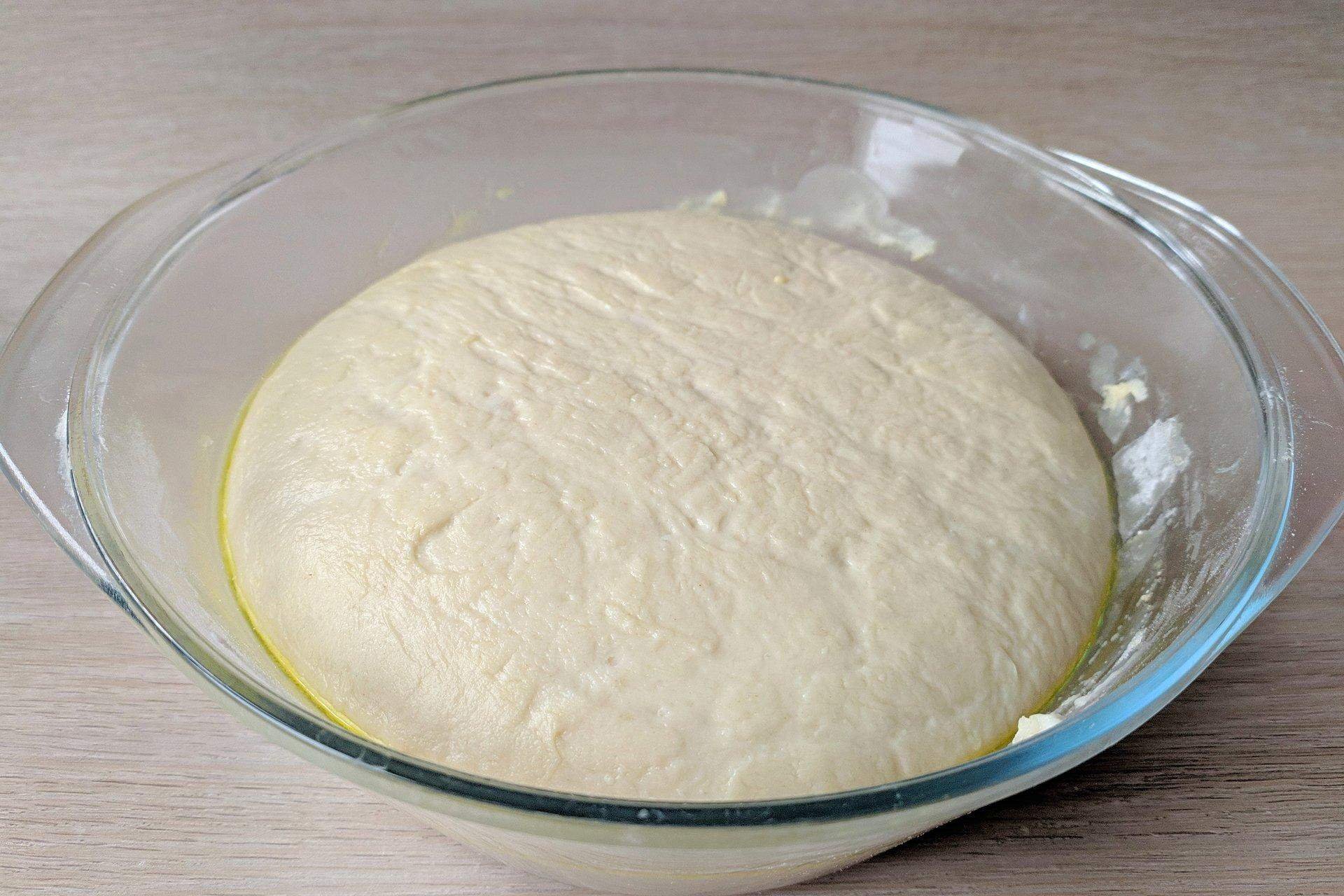 тесто для пиццы дрожжевое на сухих дрожжах быстрого приготовления на молоке фото 106