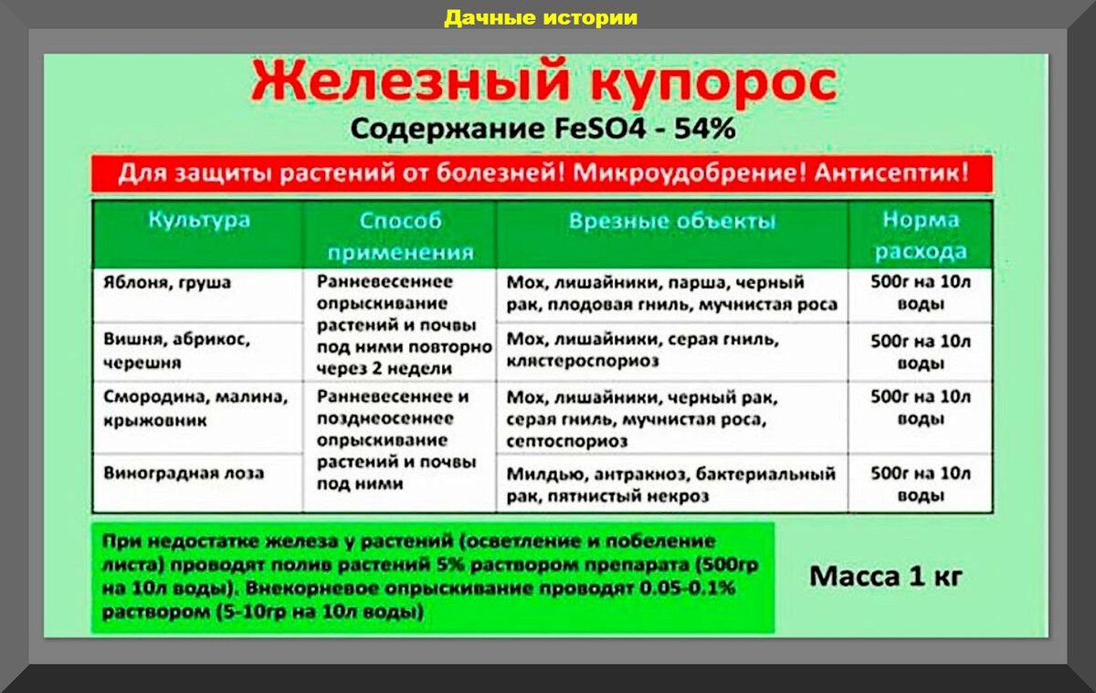 Обработка сада осенью железным купоросом