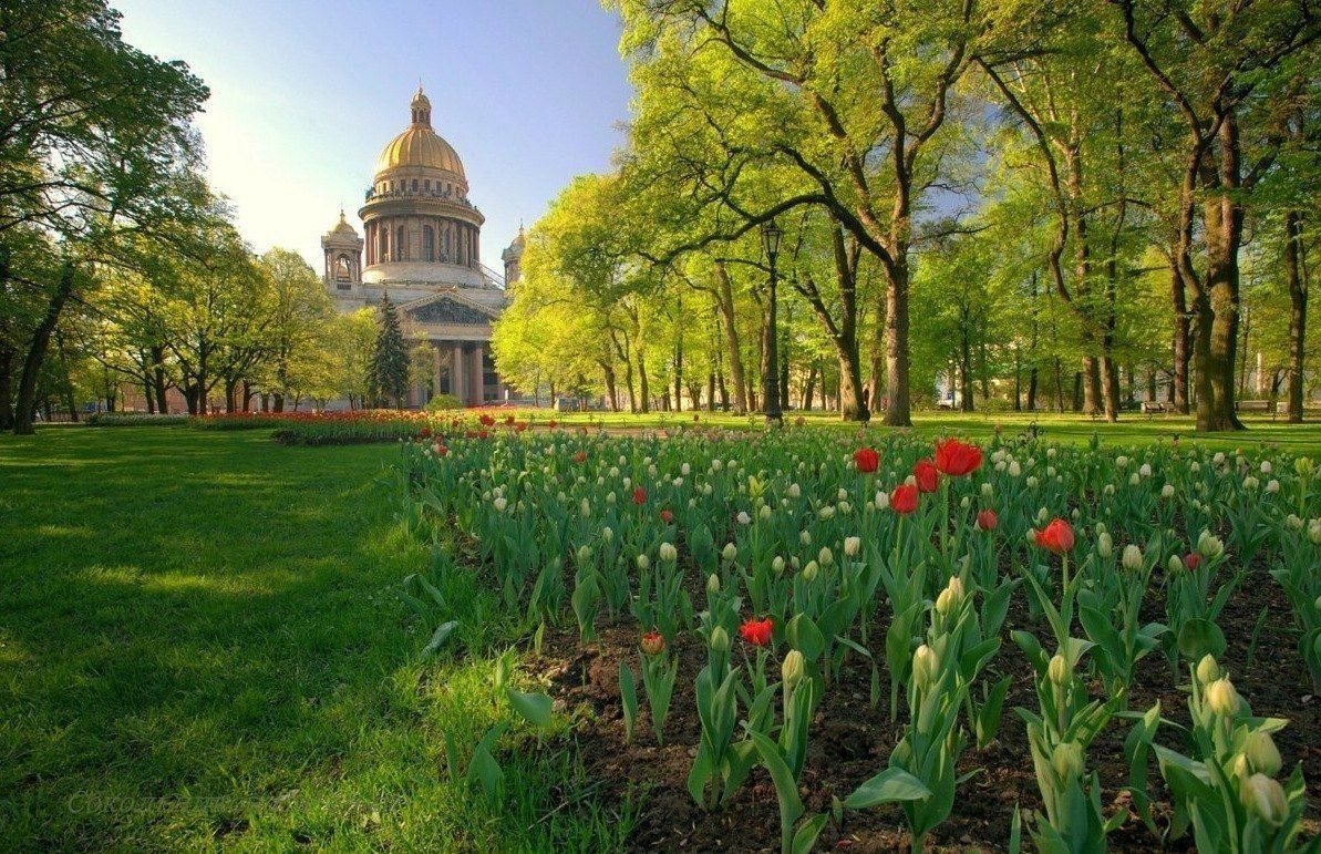 Солнечные дни в санкт петербурге. Санкт-Петербург май. Весенний город. Весна в городе Санкт-Петербург. Май в городе.