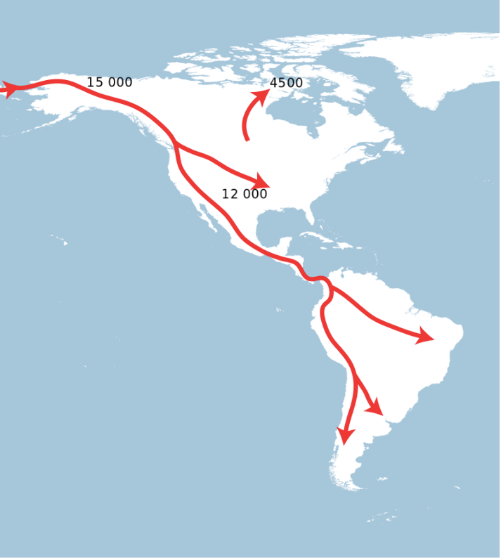 Карта эмиграции в америку. Миграционные потоки в современном мире. Миграция в сша статистика. Иммиграция в сша. Карта миграции сша.