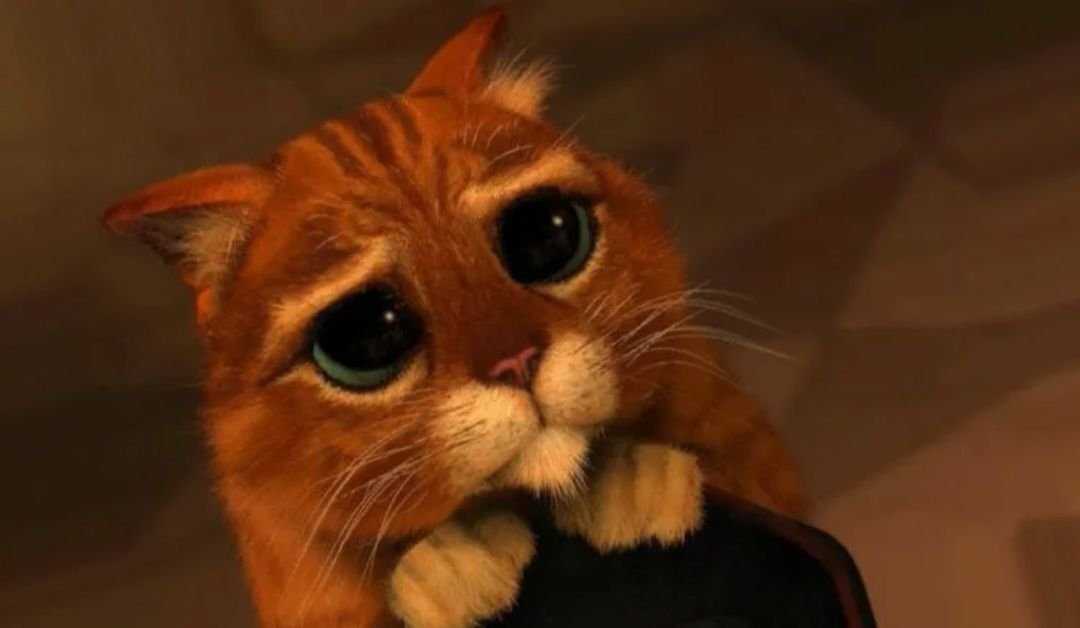 Фото кота с мультика шрек глазками невинными