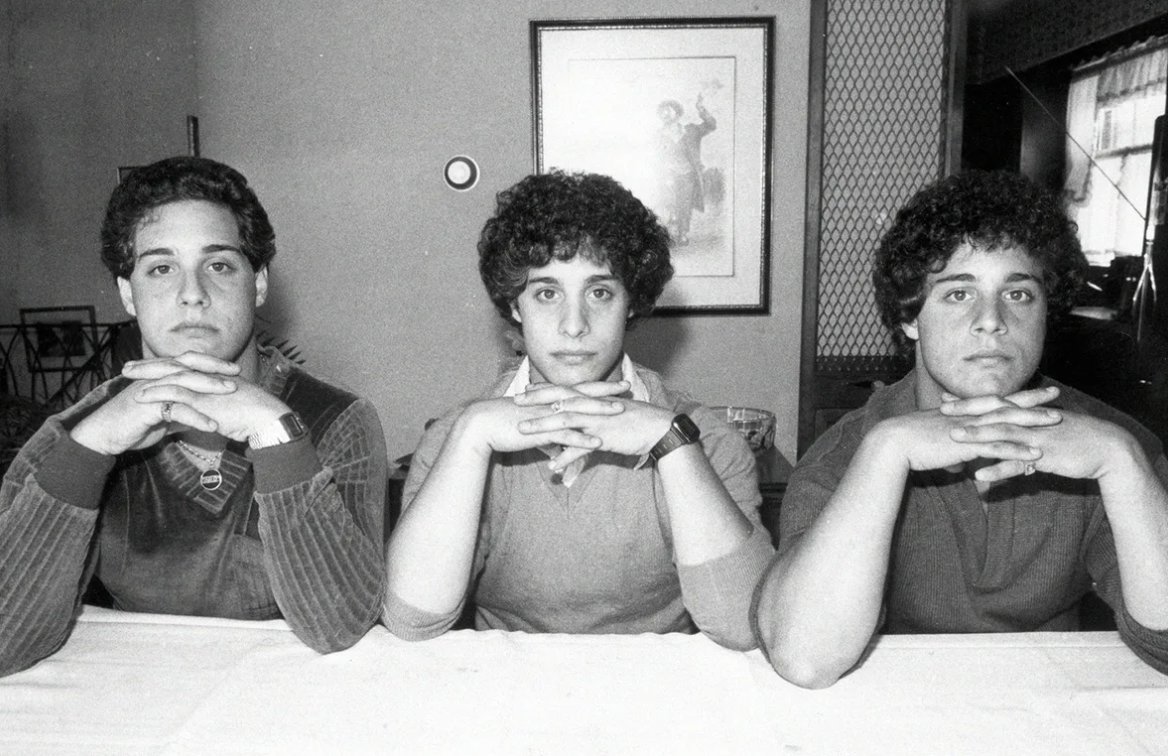 Тройняшки эдди бобби. Питер нойбауэр эксперимент тройняшки. Телосложение вегетарианца. Дэвид келлман эдвард галланд и роберт шафран. Дэвид келлман эдвард галланд и роберт шафран.