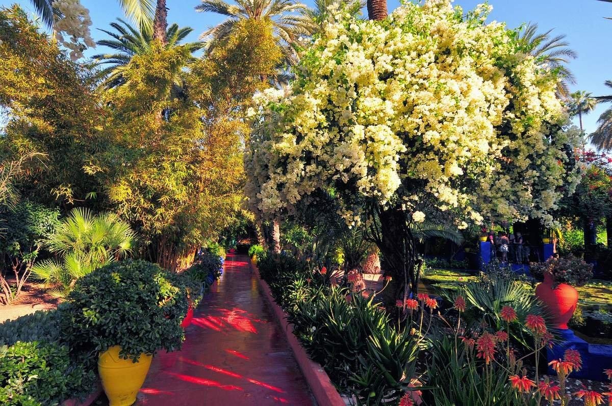 Jardin Majorelle – Ботанический сад в Марракеше