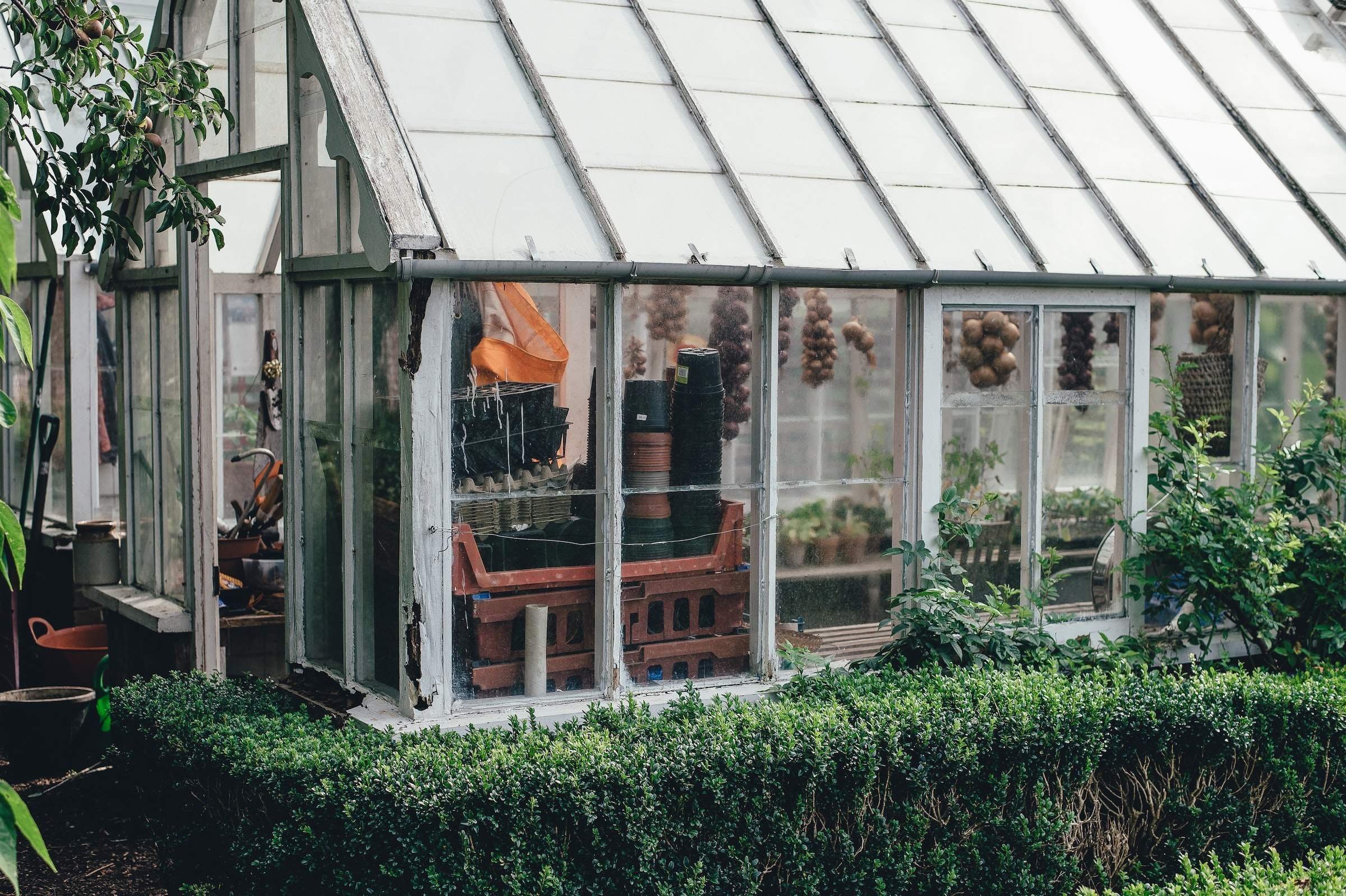 Smart Greenhouse