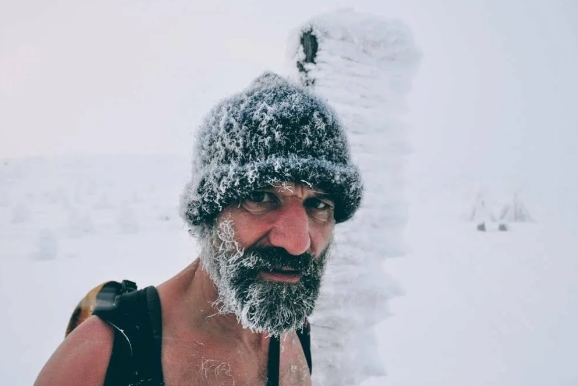 Вим хоф сайт. Вим хоф метод. Вин хов. Вим хоф фото сейчас. Вим хоф.