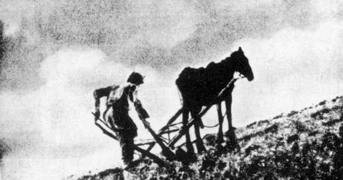 Голод 1946-1947 фотохроника. Засуха 1946 год. Засуха 1946 год. Засуха 1946 год. Засуха 1946 год.