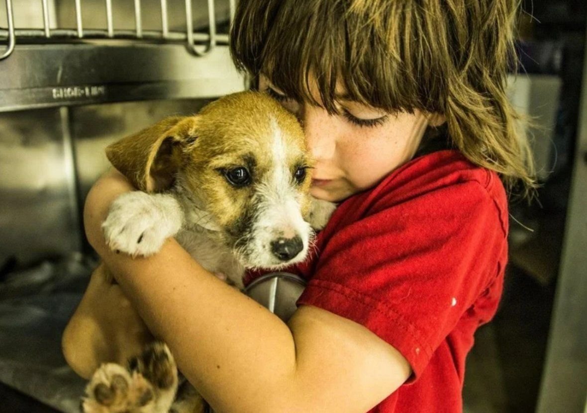 Собака евгений черная. Ребёнок живет в одной комнате с бабушкой. Приют для бездомных детей. Приют собак ника малино. 16 летние школьницы.