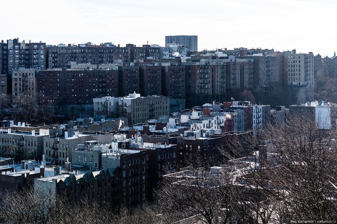 Проживать в городе. Живой город. Типовая застройка Нью Йорка. Илья Варламов 2022. Странный район.