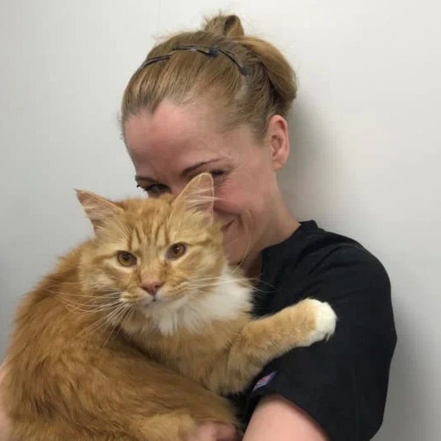 История о том, как один мужчина навещает кота в приюте, которого оставили на улице прежние хозяева