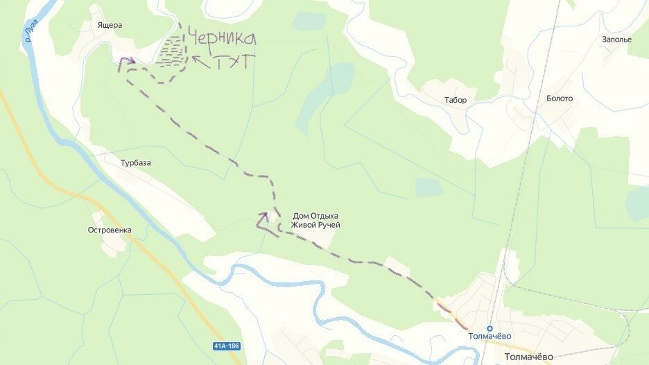 Большая ящера ленинградская область карта