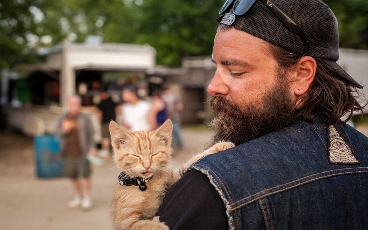 Фото брутального кота