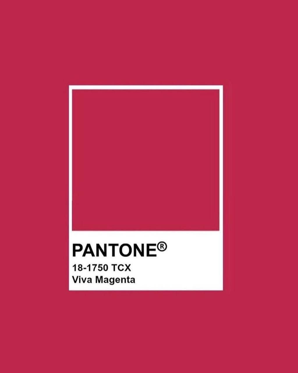 Яркий розовый цвет Pantone TCX