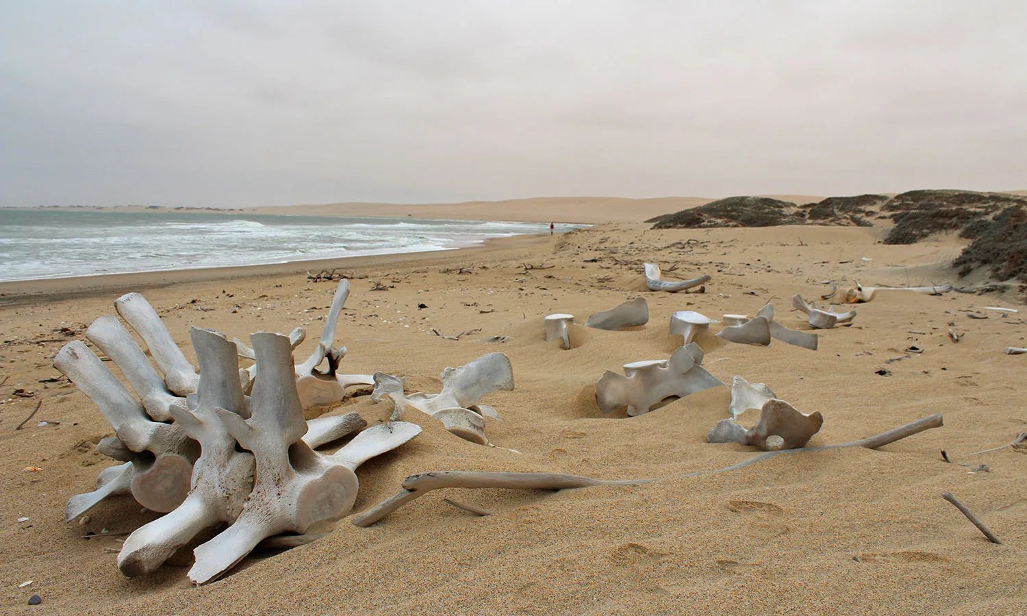 Берег скелетов намибия. Намибия берег скелетов (Skeleton Coast). Парк берег скелетов Намибия. Парк скелетон Кост Намибия. Берег скелетов в Африке в пустыне Намиб.