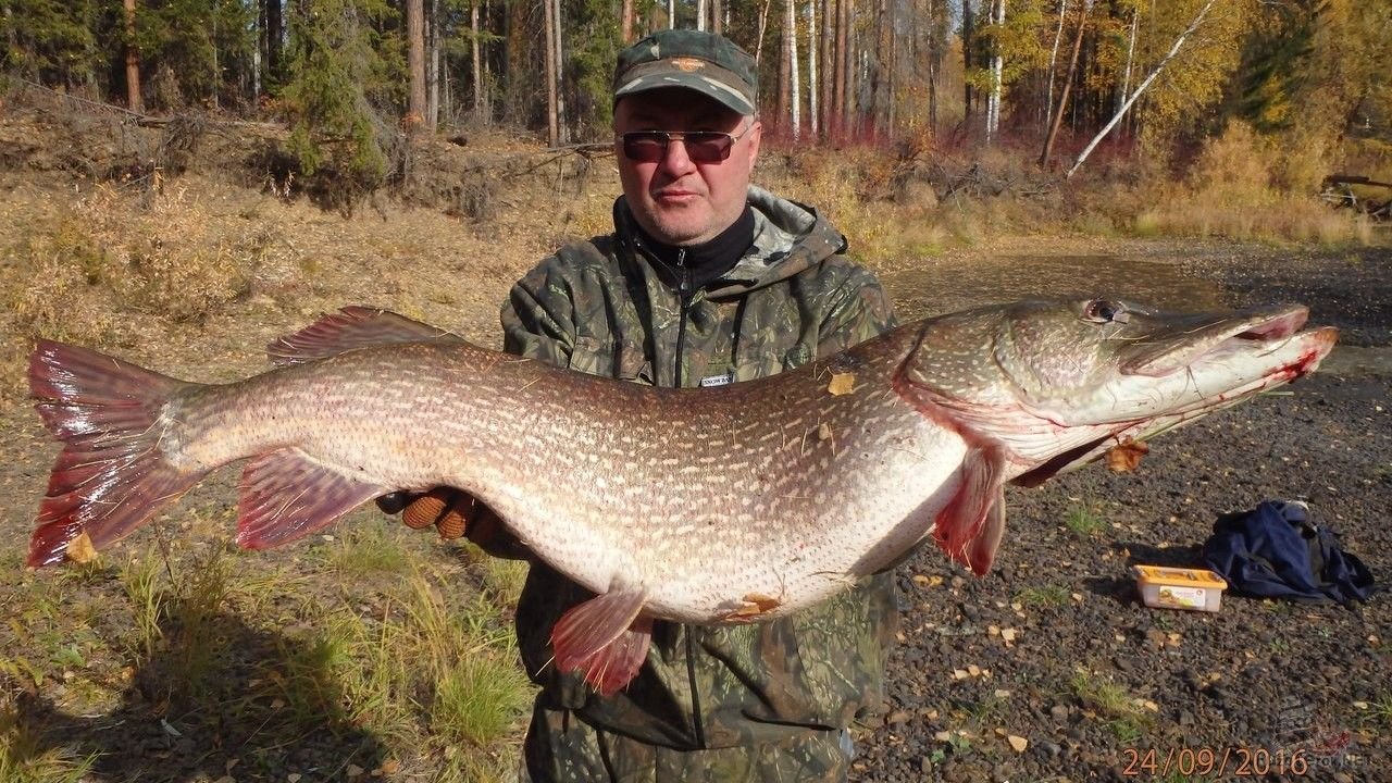 Сибирь рыбалка трофейная