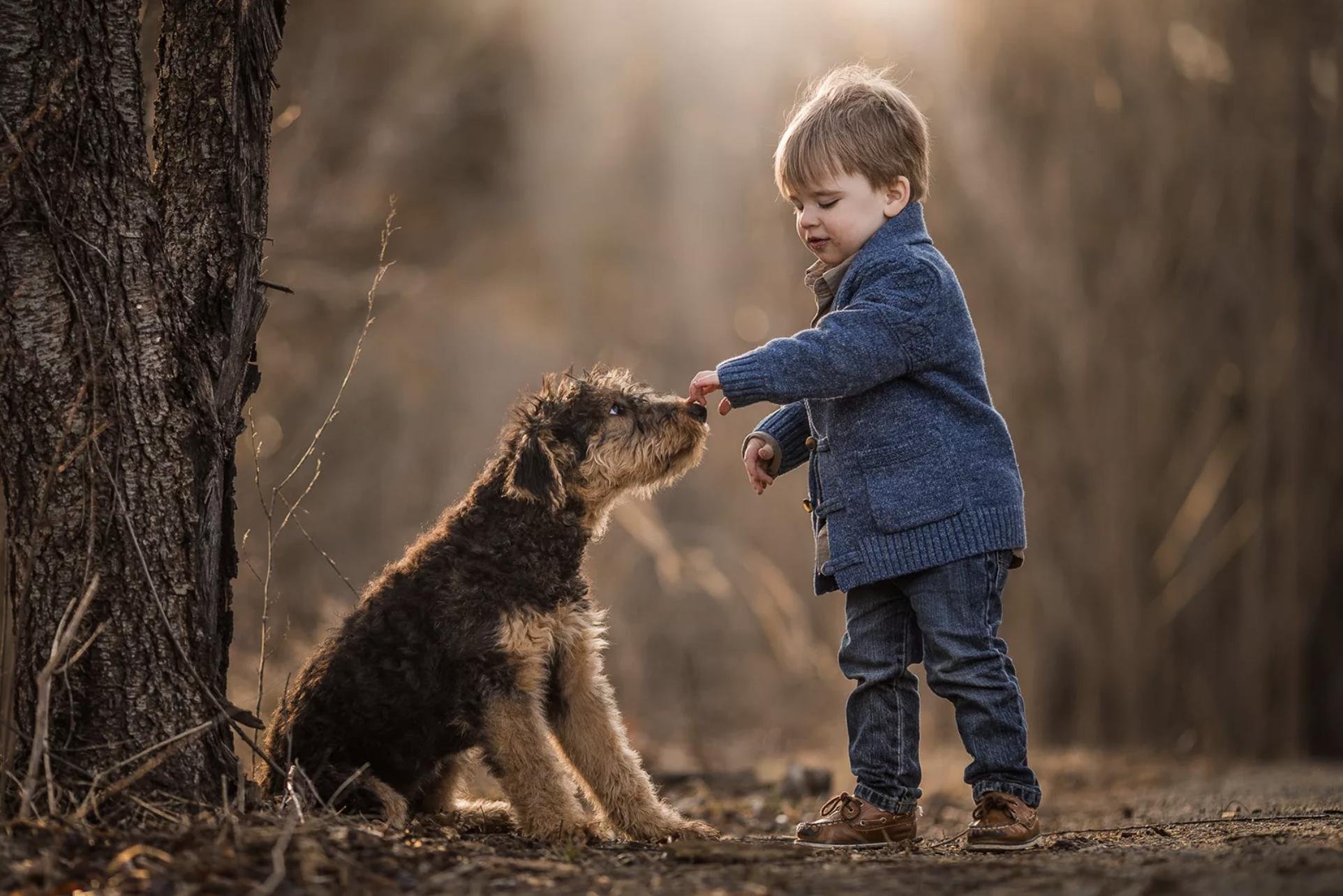 Мальчик держит собаку