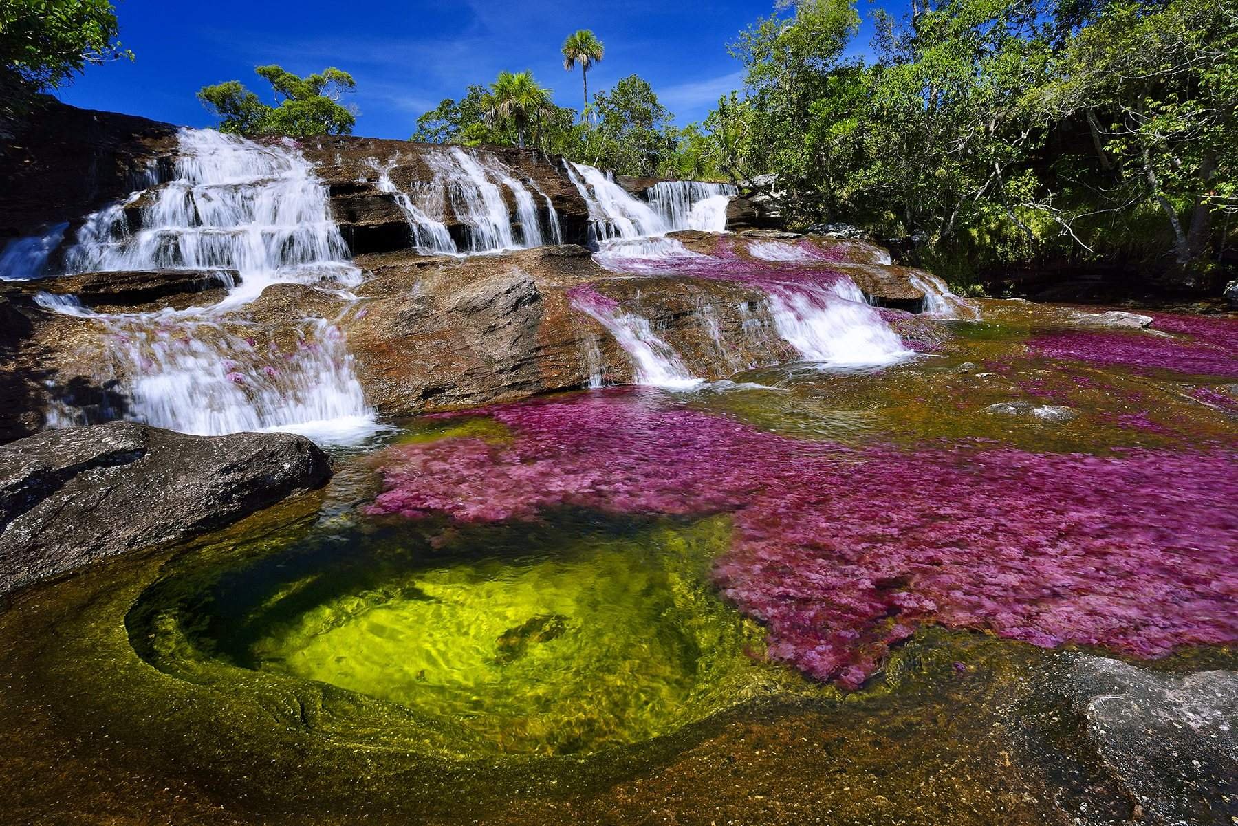 Самый красивый картинки в мире фото