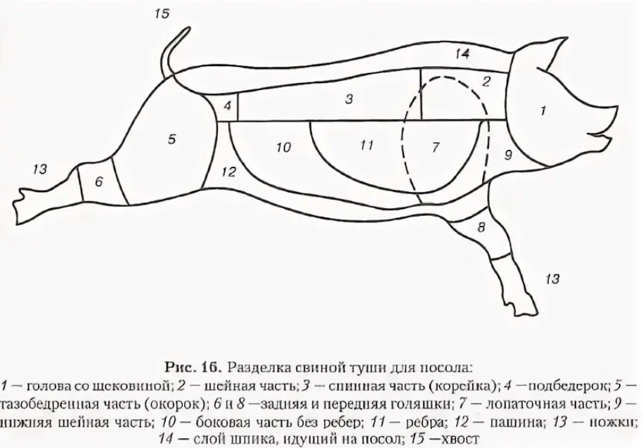 Схема свиньи на мясо