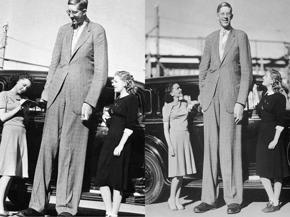 Лицо высокого человека. Robert Wadlow. Эдди Джонсон Уодлоу. Роберт Першинг Уодлоу похороны. Роберт Уодлоу в музее.